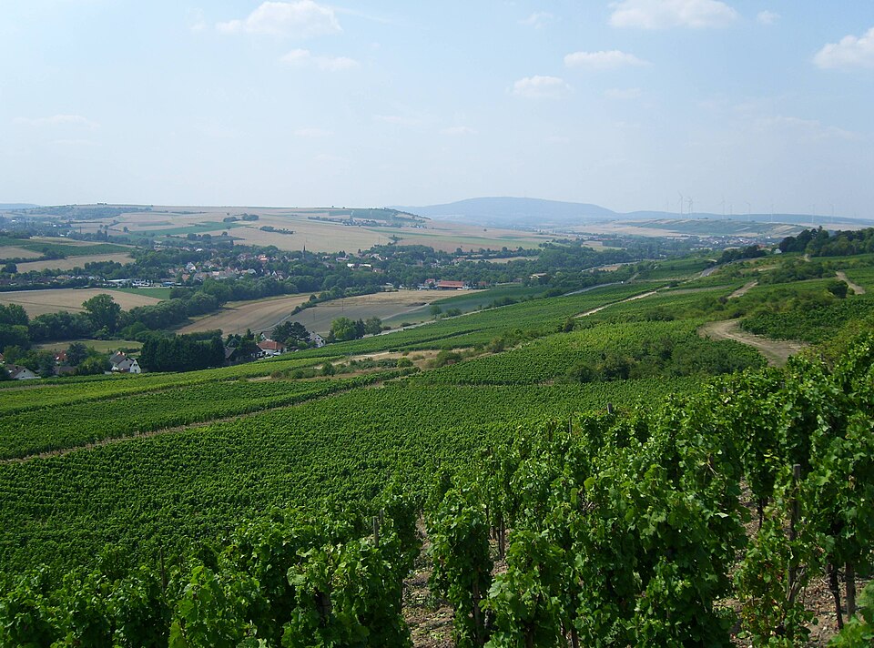 Alzeyer Hügelland