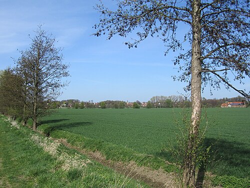 Soester Börde