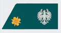 Leutnant (Tirol)