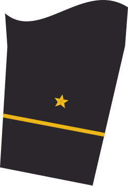 Ärmelabzeichen der Jacke (Dienstanzug) eines Oberfähnrichs zur See (Truppendienst)