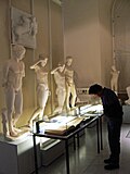 Vitrinen und Statuen in der Abguss-Sammlung im MUT