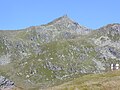 Salzachgeier, 2469 m