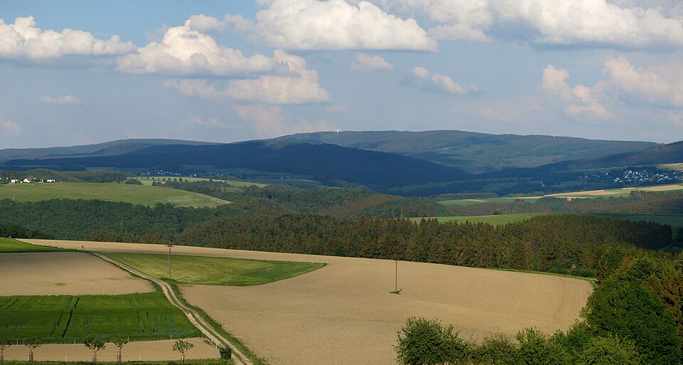Schwarzwälder Hochwald
