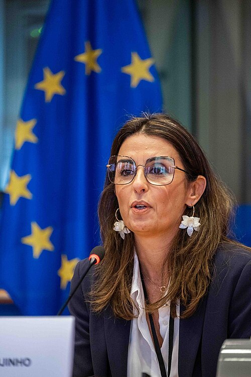 Europäischer Bürgerbeauftragter