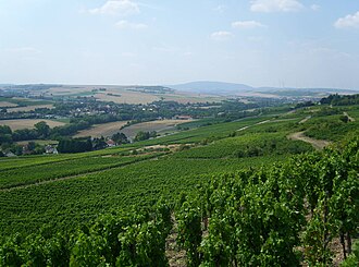 Mittleres Pfrimmtal zwischen Harxheim und Albisheim;links der Saukopf/Gauberg (um 300 m) mit Immesheim am Hang, rechts das Hungerbergplateau (bis 303,2 m; Windkraftanlagen); im Hintergrund Donnersberg (687 m, mittig) und Kuhkopf (430 m, rechts) unmittelbar westlich Kirchheimbolandens im Nordpfälzer Bergland