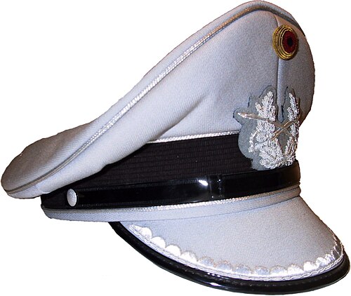 Schirmmütze (Bundeswehr)