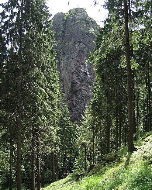 Thüringer Wald