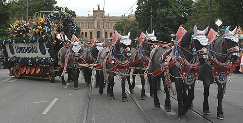 Festring München