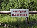 Sumpfige Naturlandschaft