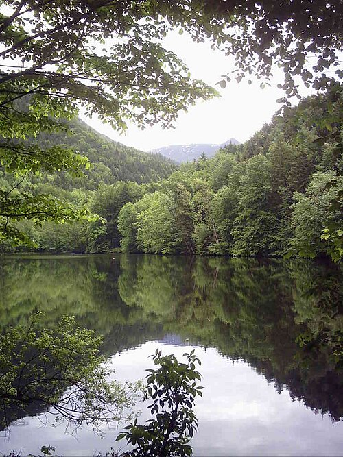 Weiher (Gewässer)