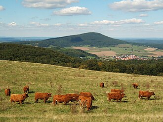 Blick vom Gläserberg über Unteralba nach Norden zum Baier