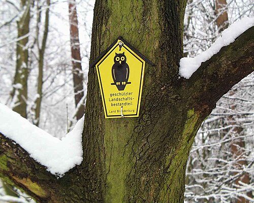 Geschützter Landschaftsbestandteil