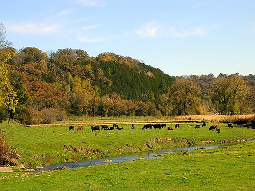 Weide (Grünland)
