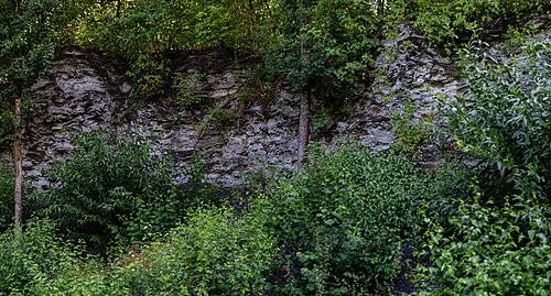 Unternehmen Wüste