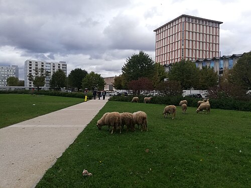 Universität Paris-Nanterre