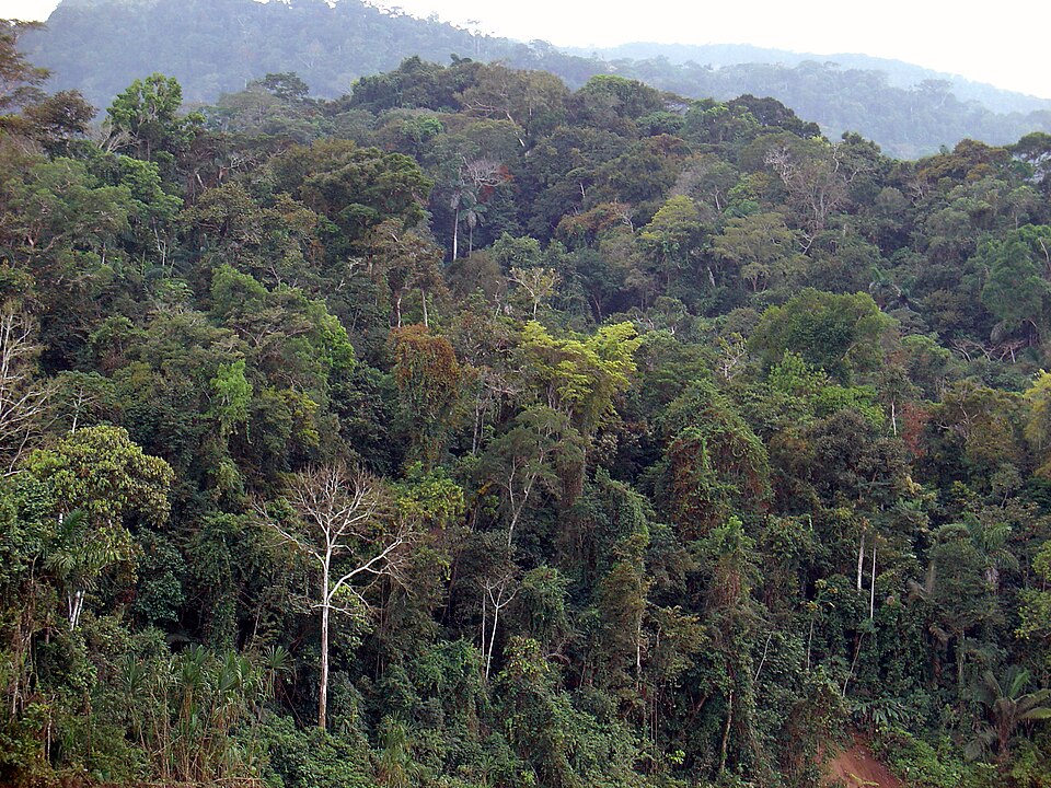 Omagua (Höhenstufe)