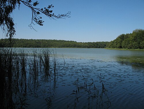 Mühlenbeck (Oberhavel)