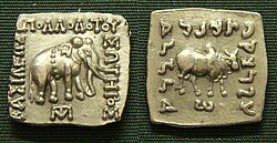 Vorder- und Rückseite einer silberfarbigen und quadratischen Münze nebeneinander. Eine Seite zeigt einen Elefanten, die andere einen Büffel