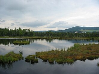Hochmoor Chalupská slať im Nationalpark Šumava