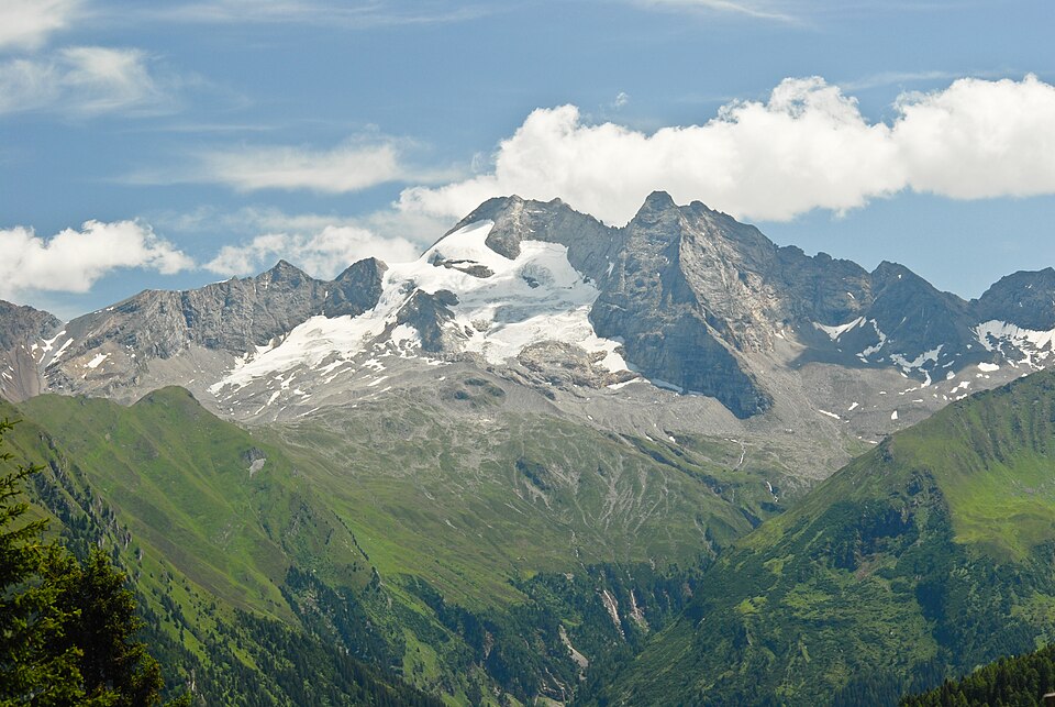 Höhenstufe (Ökologie)