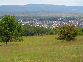 Sickinger Höhe aus Norden über das Landstuhler Bruch hinweg