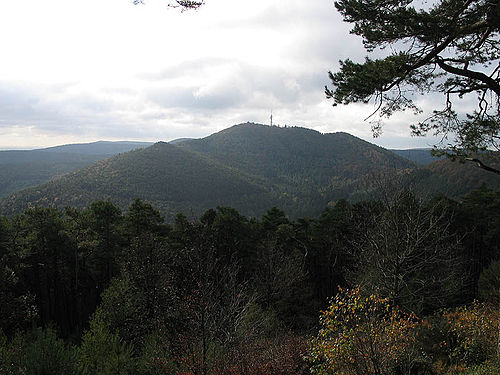Mittlerer Pfälzerwald