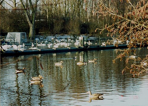 Eppendorfer Mühlenteich