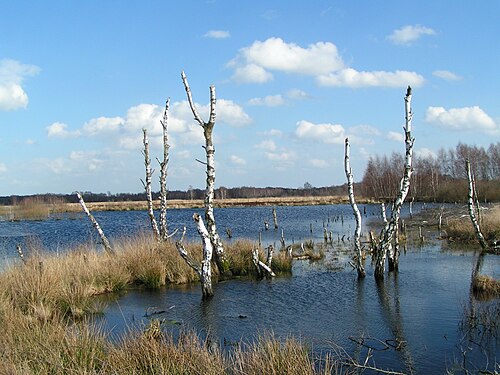 Großes Torfmoor