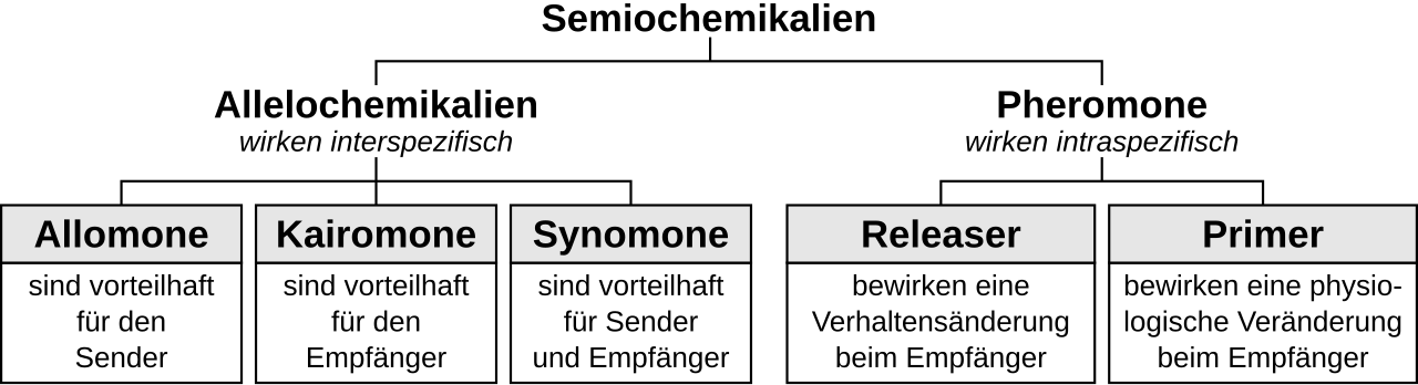 Chemische Ökologie