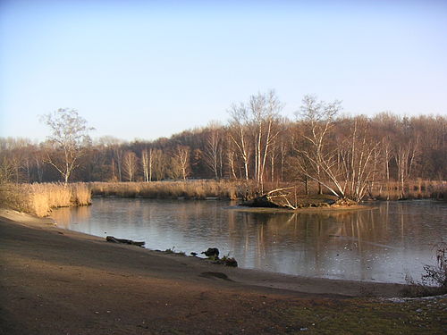Silbersee (Nürnberg)