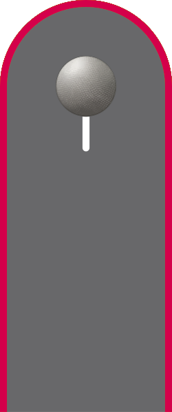 Sanitätssoldat (Dienstgrad)