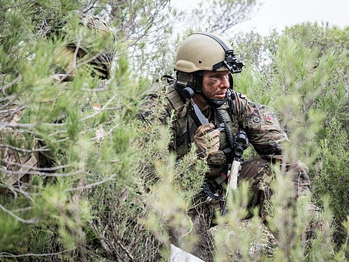 Gebirgsjägertruppe (Bundeswehr)