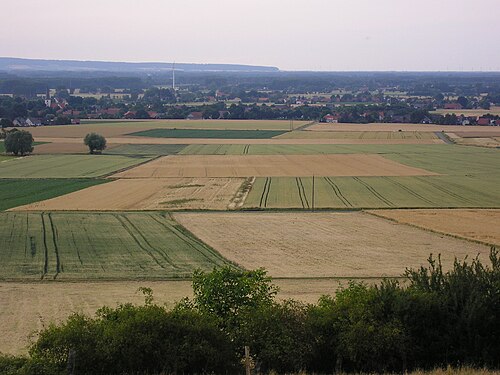 Lübbecker Lößland