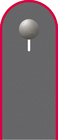 Schulterklappe der Jacke des Dienstanzuges für Heeresuniformträger der Panzertruppe.