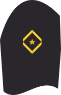 Ärmelabzeichen Seekadett (Dienstanzug Marineuniformträger)