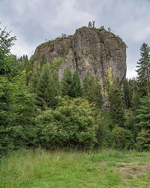 Falkenstein (Thüringen)