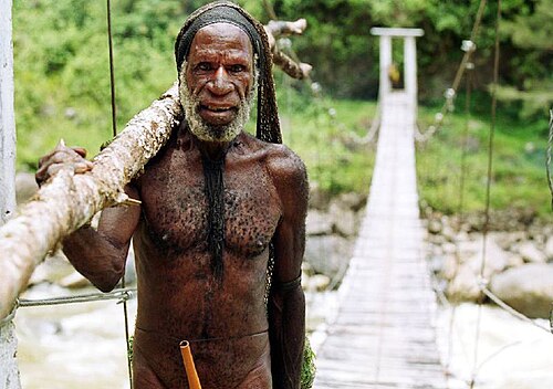 Papua (Völkergruppe)