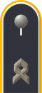 Schulterklappe Oberfähnrich (Dienstanzug Luftwaffenuniformträger) (Grundform der Schulterklappe wie Offiziere)