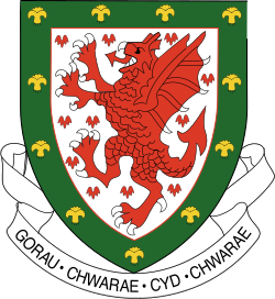 Logo der Football Association of Wales