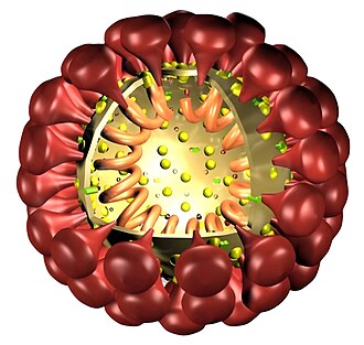 Coronaviridae