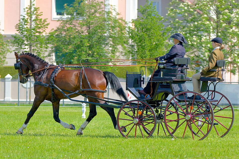 Einspänner (Fuhrwerk)