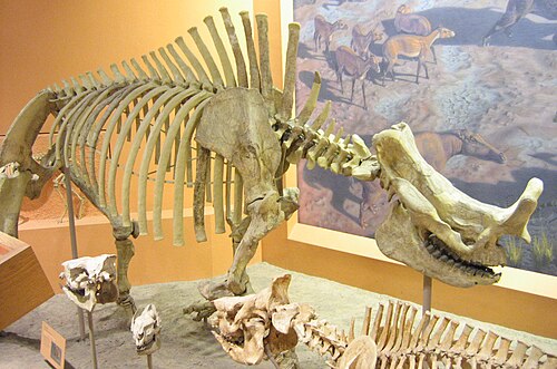 Evolutionärer Selbstmord