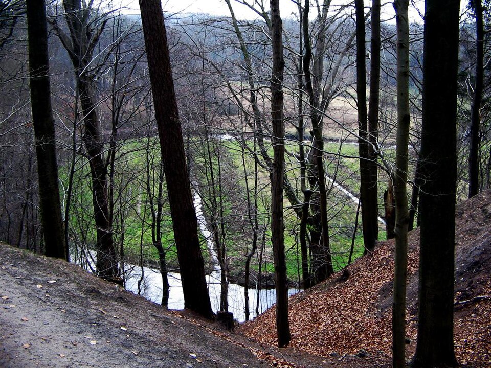 Böhme (Fluss)