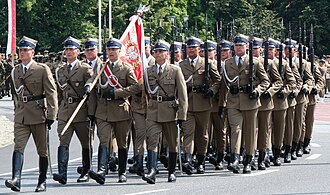 Fahnenabordnung und Ehrenzug der Landstreitkräfte
