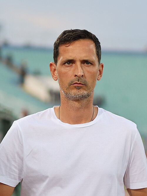 Dino Toppmöller