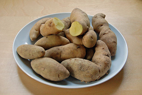 Bamberger Hörnla