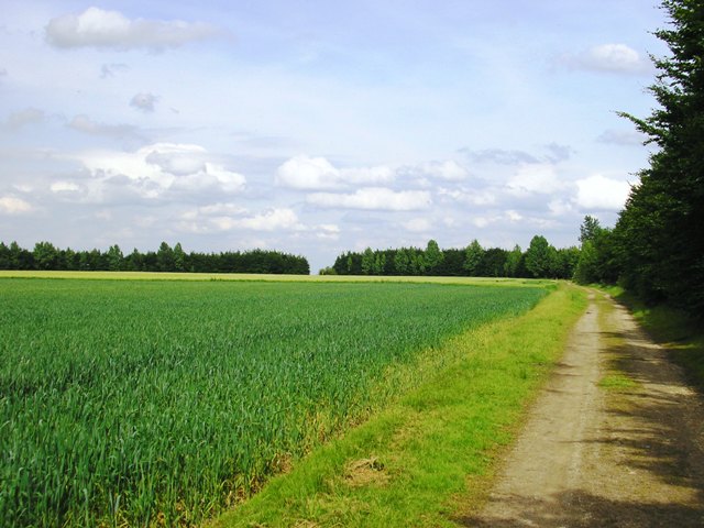 Felder auf der Wiedenfelder Höhe
