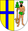 Wappen Zehngerichte-Bund, Variante mit Wildem Mann (1549)