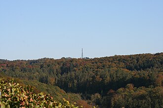 Blick von der Kohlebene bei Farnersberg in Richtung Ostsüdosten zum Stocksberg bei Stocksberg