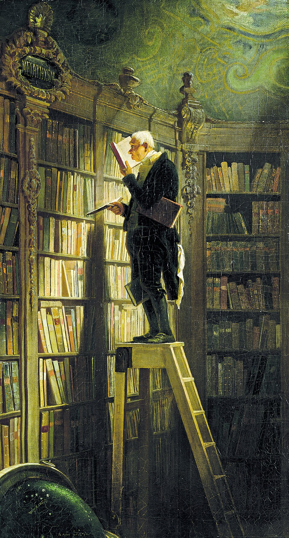 Der Bücherwurm